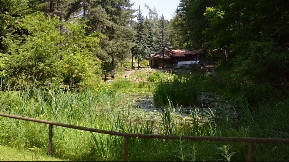 Il Giardino Botanico di Pietra Corva, Italy, Italy